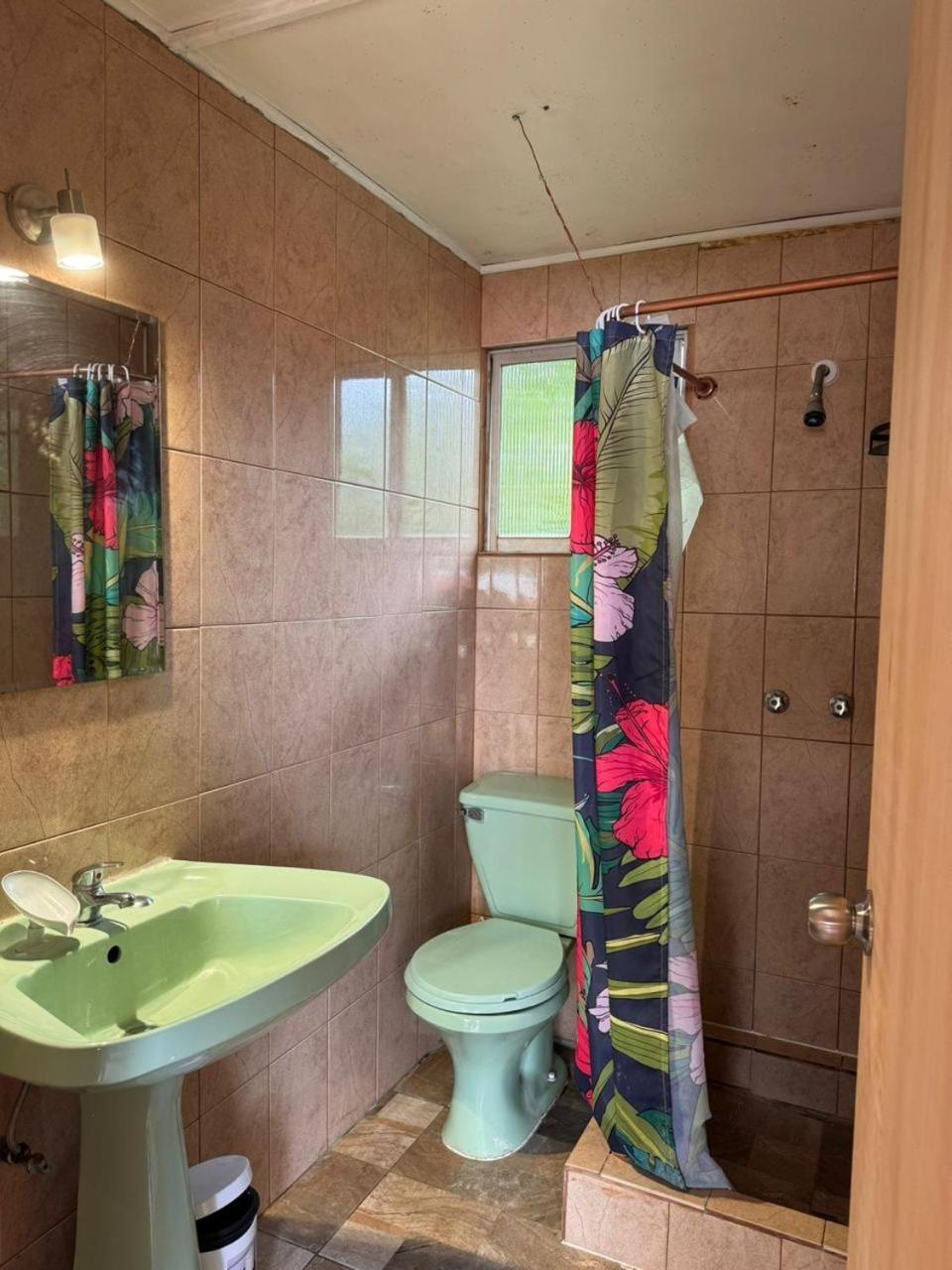 Mata Nui Eco Hostel Hanga Roa Eksteriør billede